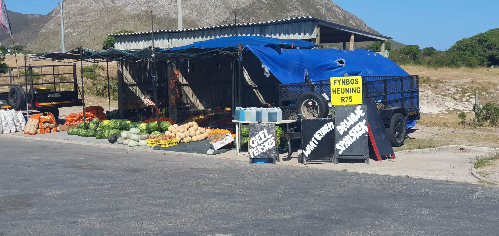 Fresh Produce Collection