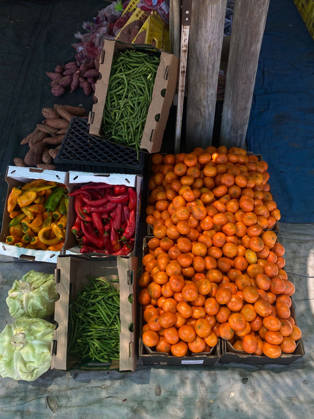 Colorful Produce