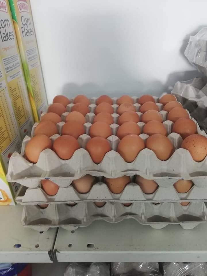Fresh Eggs