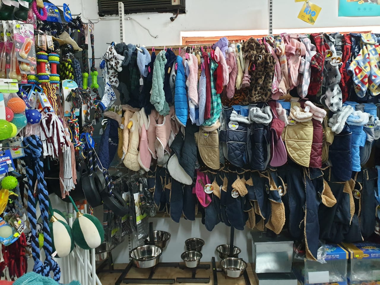 Pet food and accessories