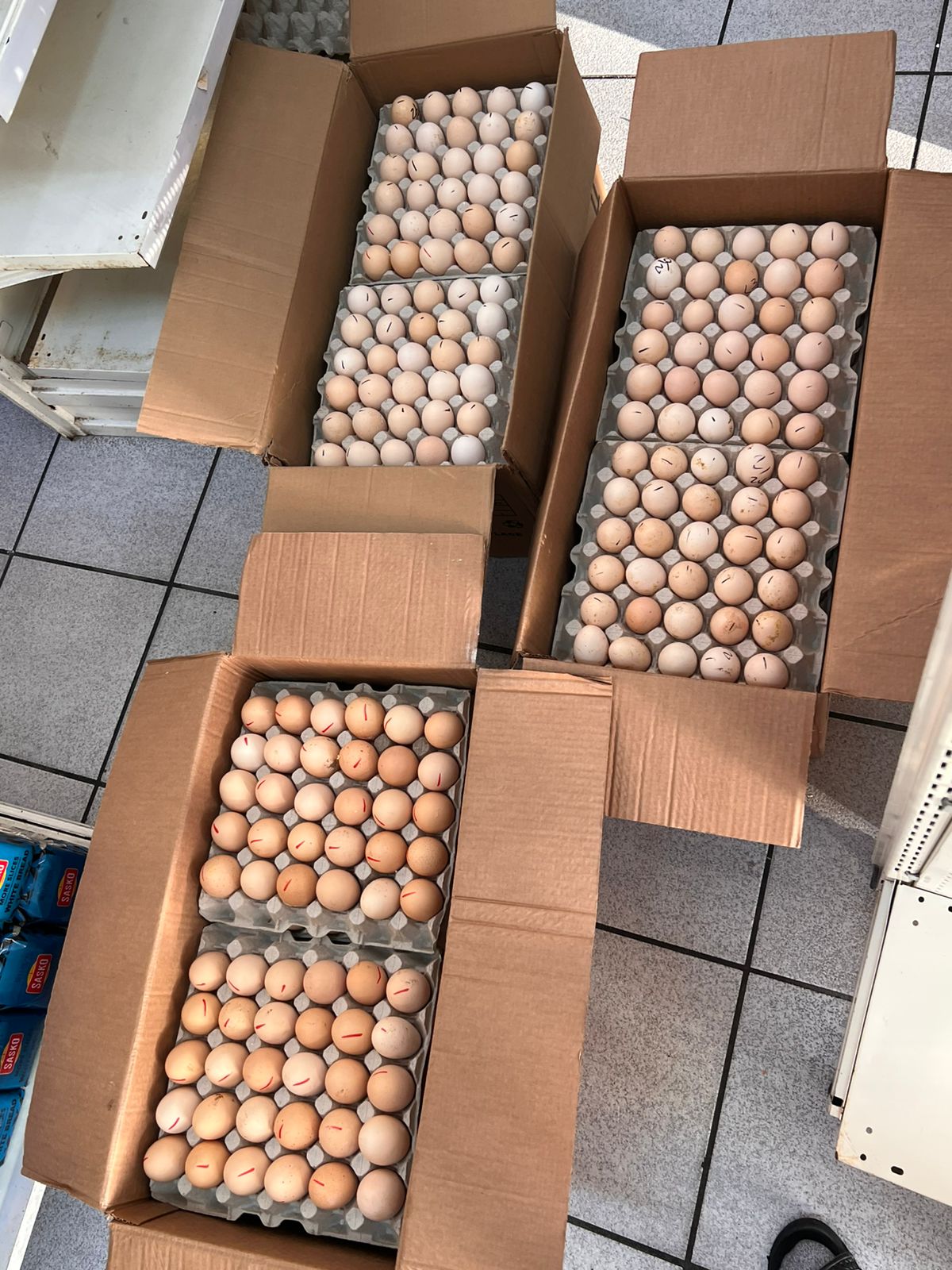 ShopBulk 54