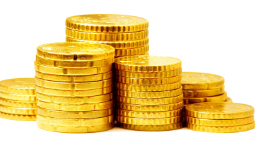 Gold Rings and Bands